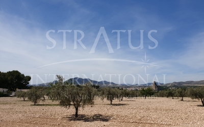 Land - For Sale - Sax - Rural location