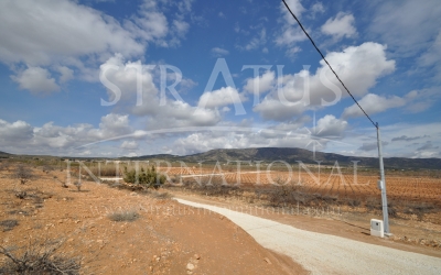 Terrain - A vendre - Pinoso - Rural location