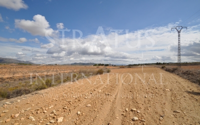 Terrain - A vendre - Pinoso - Rural location