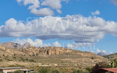 Land - For Sale - Abanilla - Rural location