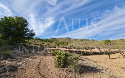 Land - For Sale - Raspay - Rural location