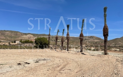 Land - For Sale - Abanilla - Rural location