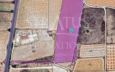 Land - For Sale - Pinoso - Pinoso