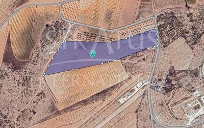 Terrain - A vendre - Pinoso - Lel