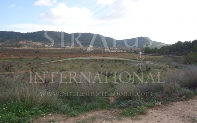 Land - For Sale - Pinoso - Rural location