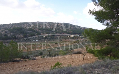 Land - For Sale - Pinoso - Rural location