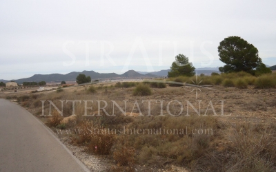 Land - For Sale - Pinoso - Rural location