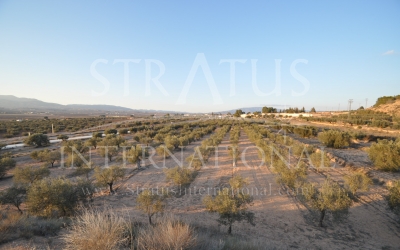 Land - For Sale - Pinoso - Pinoso