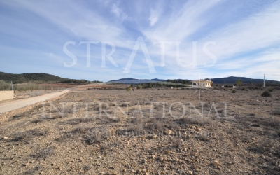 Land - For Sale - Pinoso - Pinoso - El Pinós