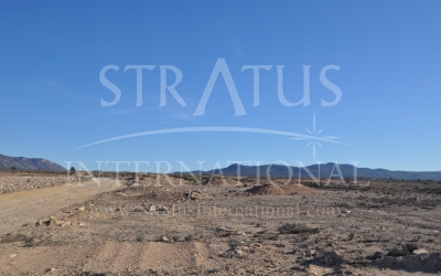 Land - For Sale - Pinoso - Pinoso - El Pinós