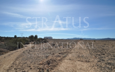 Land - For Sale - Monovar - Monovar