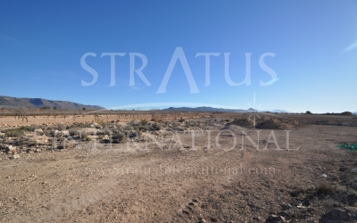Land - For Sale - Pinoso - Pinoso - El Pinós