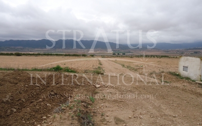 Land - For Sale - Yecla - Rural location