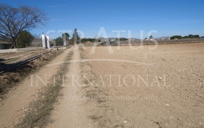 Land - For Sale - Yecla - Rural location