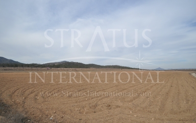 Land - For Sale - Monovar - Monovar