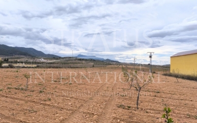 Land - For Sale - Pinoso - Rural location