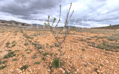 Land - For Sale - Raspay - Rural location