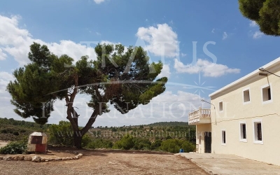 Country House - For Sale - Yecla - Inland