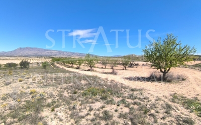 Land - For Sale - Jumilla - Rural location