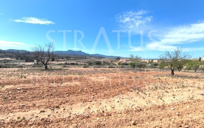 Land - For Sale - Jumilla - Rural location