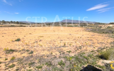 Terrain - A vendre - La Zarza - Rural location