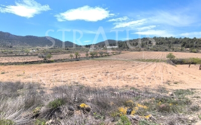 Terrain - A vendre - La Zarza - Rural location