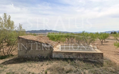 Land - For Sale - Yecla - Rural location
