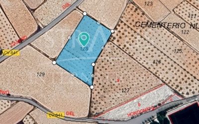 Terrain - A vendre - Algueña - Rural location