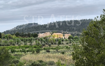 Country House - For Sale - Casas del Señor - Inland
