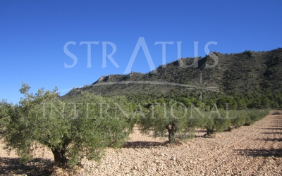 Terrain - A vendre - Yecla - Rural location