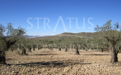 Terrain - A vendre - Villena - Rural location