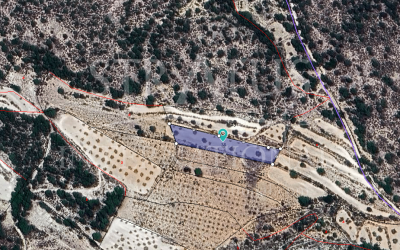 Land - For Sale - Monovar - Rural location