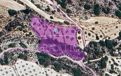 Land - For Sale - Monovar - Rural location