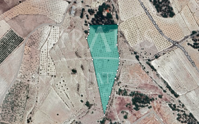 Land - For Sale - Monovar - Rural location