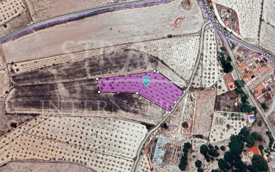 Land - For Sale - Monovar - Rural location