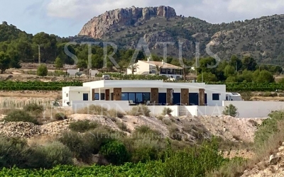 Off Plan/New Build Villa - For Sale - Pinoso - Rural location