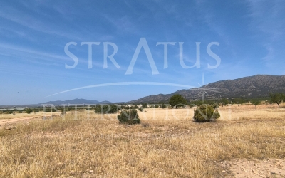 Terrain - A vendre - Monovar - Rural location
