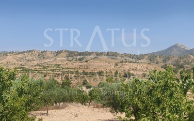Land - For Sale - Abanilla - Rural location
