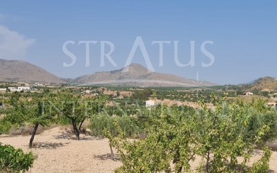 Land - For Sale - Abanilla - Rural location