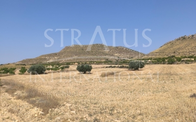 Terrain - A vendre - Jumilla - Torre del Rico