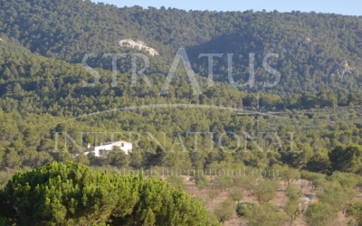 Country House - For Sale - Villena - Rural location