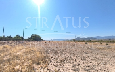 Terrain - A vendre - Pinoso - Rural location