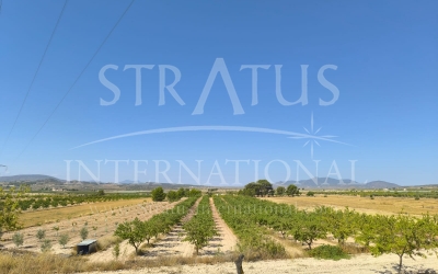 Terrain - A vendre - Monovar - Rural location
