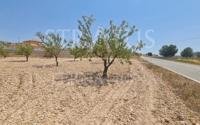 Land - For Sale - Jumilla - Urban location