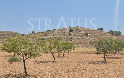 Land - For Sale - Cañada del Trigo - Cañada del Trigo