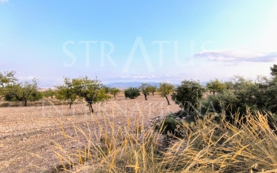 Terrain - A vendre - Pinoso - Rural location