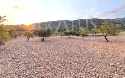 Land - For Sale - Pinoso - Rural location