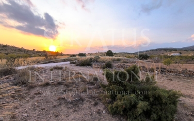 Terrain - A vendre - Pinoso - Rural location