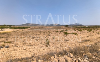 Land - For Sale - Pinoso - Rural location