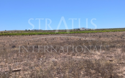 Terrain - A vendre - Pinoso - Lel